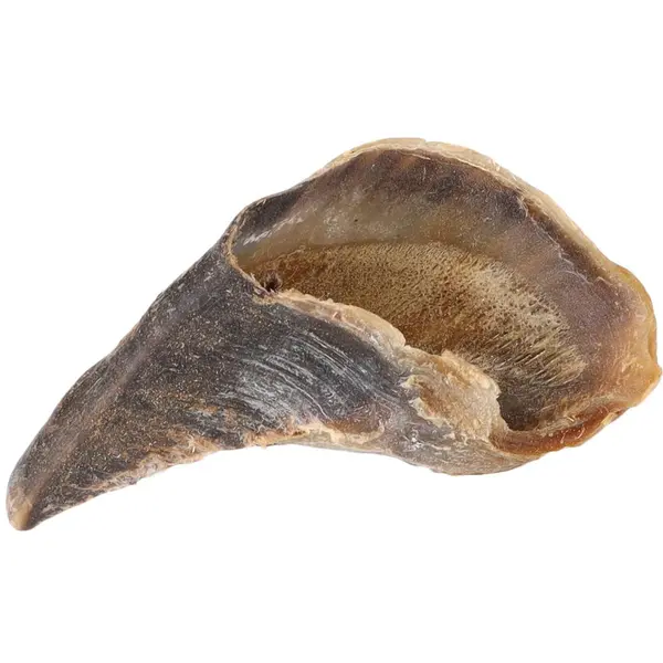 Friandise Chien - Flamingo Nature snack Sabot de vache - En vrac à l'unité