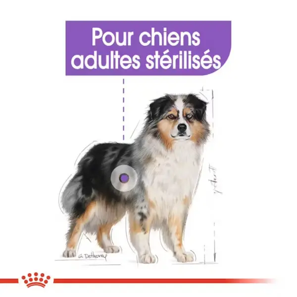 Croquettes Chien – Royal Canin Medium Sterilised – 12 kg