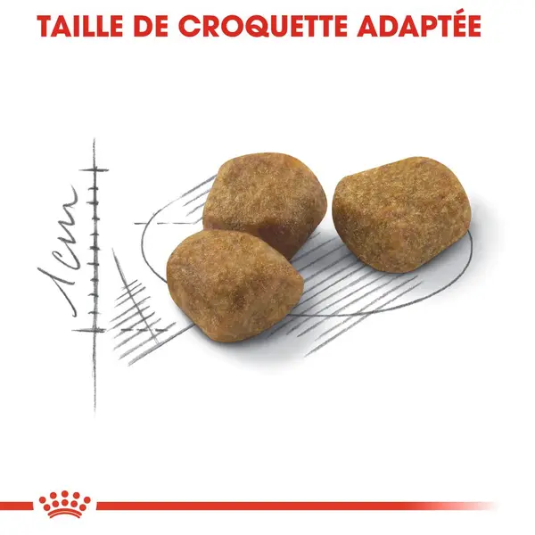Croquettes Chat – Royal Canin Fit 32 – 400 g
