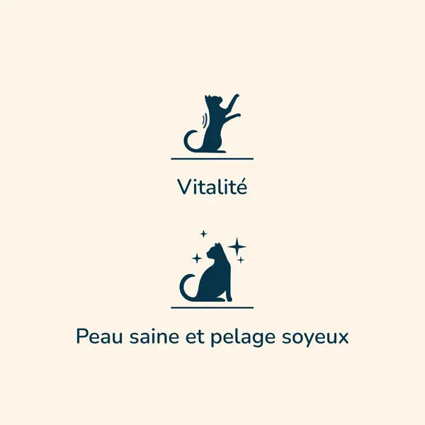 Adult - Saveur Dinde | Offre Spéciale 10 + 2 kg Offerts