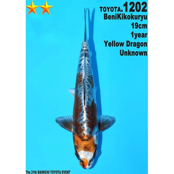 DAINICHI KIKOKYRYU 1202 vendu