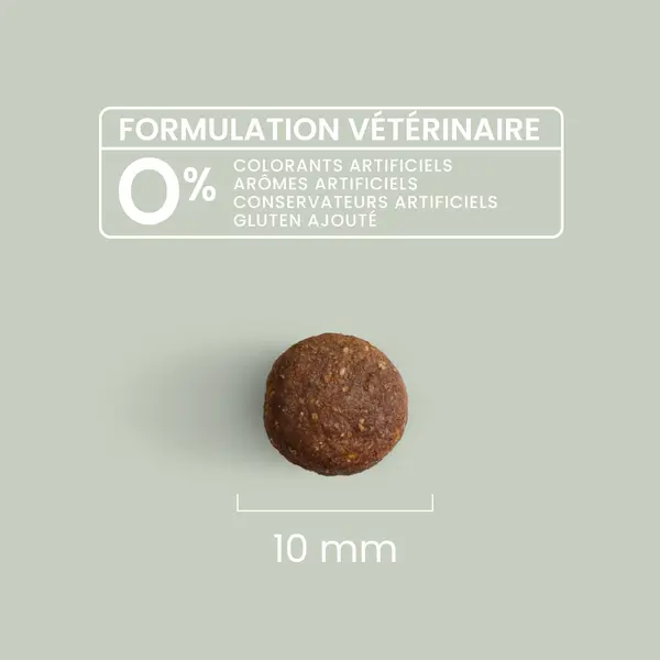 Croquettes sans céréales au saumon frais pour chien adulte de petite taille (10kg)