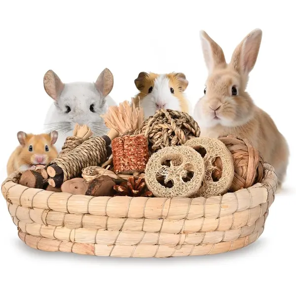 31PCS Natural Rabbit Chew Toys Set for Small Pets Dental Care