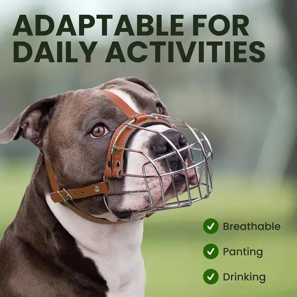 Breathable Metal Basket Dog Muzzle for Large Dogs with Leather Straps