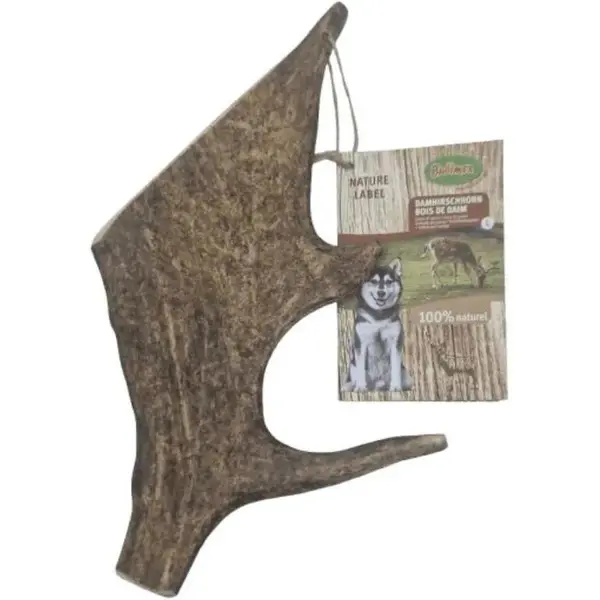 Bois de Daim – Taille L (150–225 g)