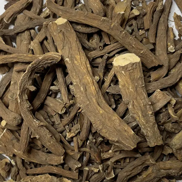 Miettes de racines de pissenlits (TGTN)