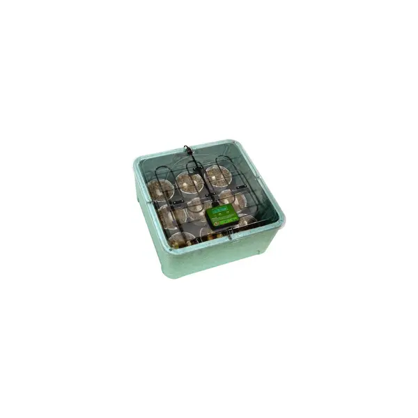 Incubateur pour reptile Reptibator