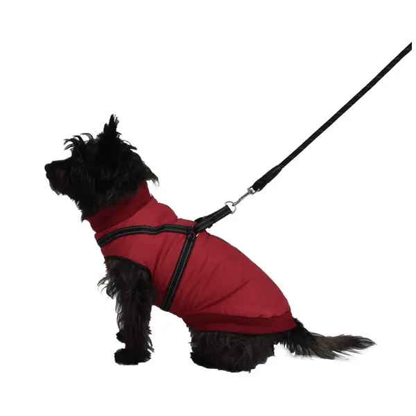 Textile Chien – Bobby Manteau Easy Noir – Taille 48L