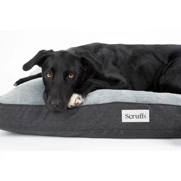 Scruffs Couchage Chien Coussin Orthopédique Harvard Gris - Taille L 100 x 70 x 12 cm
