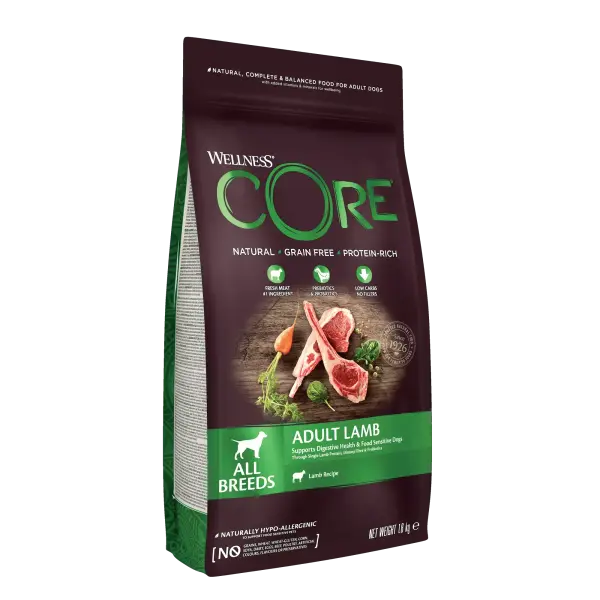 Wellness Core – Croquettes Chien Adulte digest Agneau