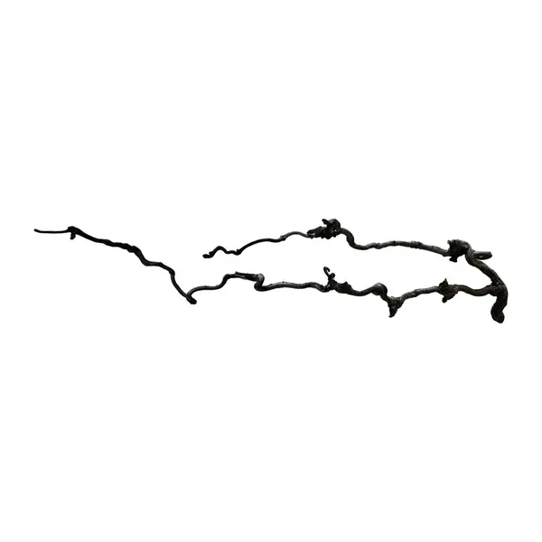Branche naturelle structurée pour reptile de 60-80 cm