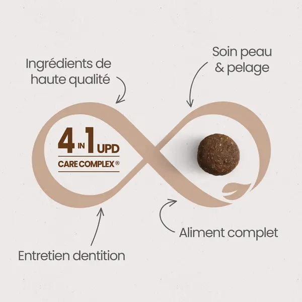 Croquettes sans céréales au saumon frais pour chien adulte de petite taille (10kg)