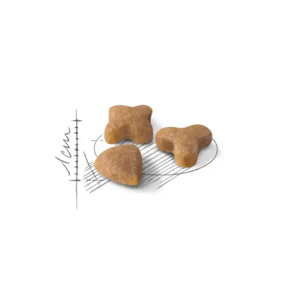 Croquettes Chat – Royal Canin Sensible 33 – 4 kg