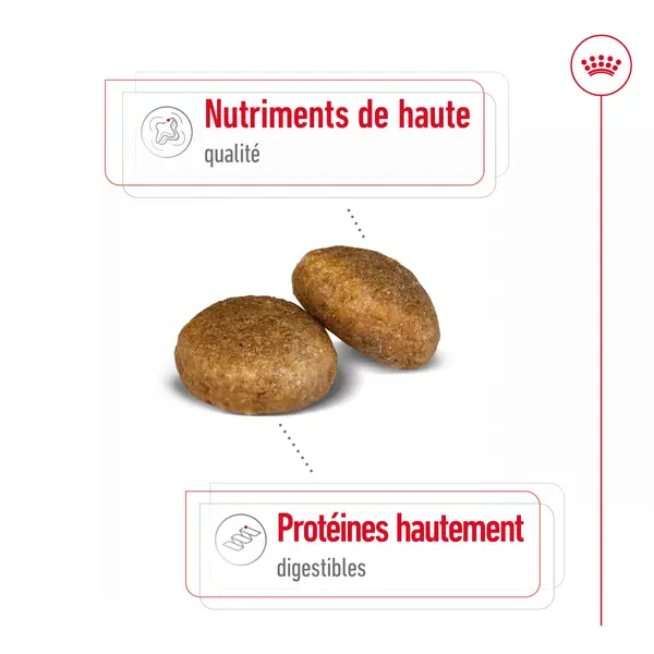Royal Canin Croquettes Chien Maxi Adult À Partir De 15 Mois - 12 kg