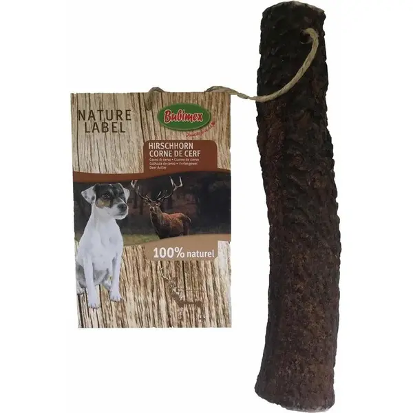 Bois de Cerf Entier – Taille L (120–160 g)