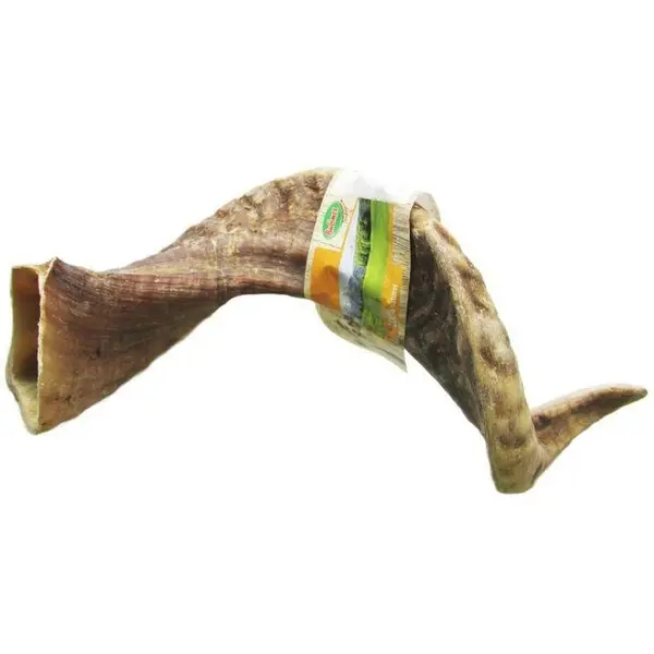 Corne de Mouton – Taille L (>200 g)