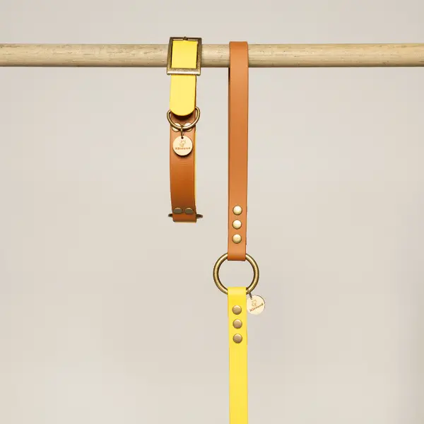 Laisse pour chien biothane MARRON et JAUNE