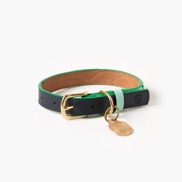 Brave Collar