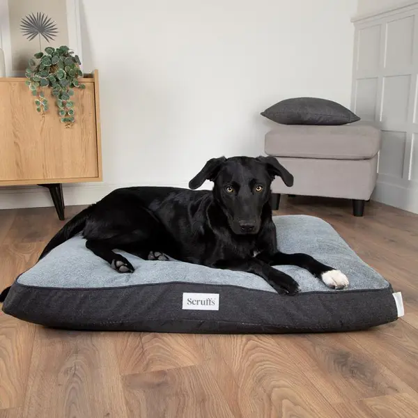 Scruffs Couchage Chien Coussin Orthopédique Harvard Gris - Taille L 100 x 70 x 12 cm