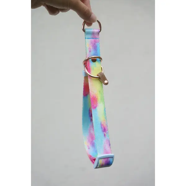 Collier pour chien en sangle imprimée - Motif Multicolore