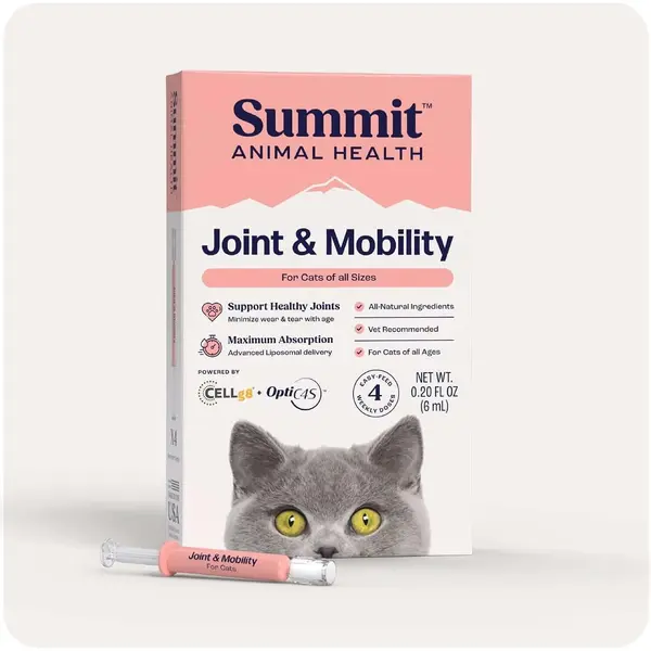 Chondroitin Supplement for Cats