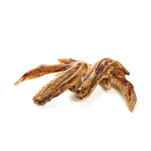 🦆 Aile de canard à l’unité – Mastication naturelle pour chien