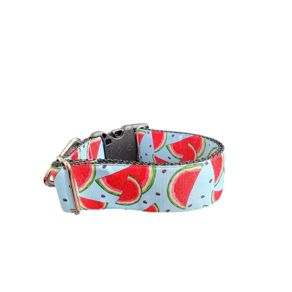 1.5" Wide Watermelon Wedges Nylon Dog Collar