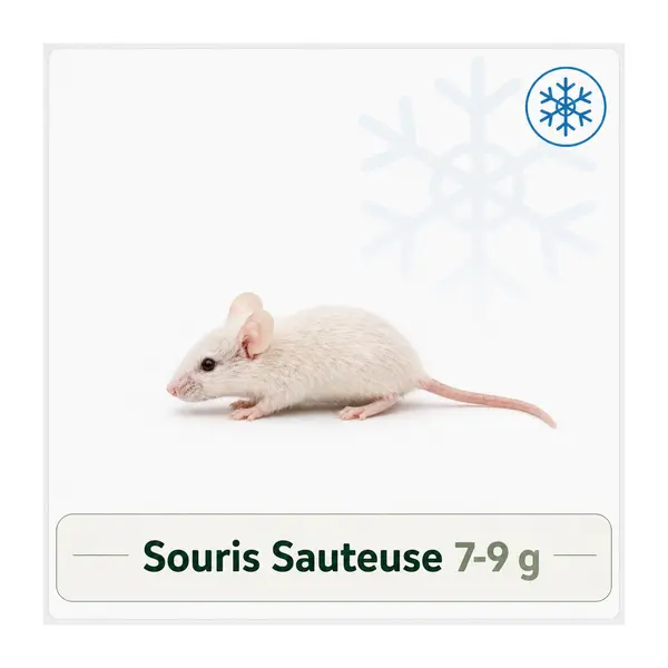 Souris Sauteuse de 7 - 9g
