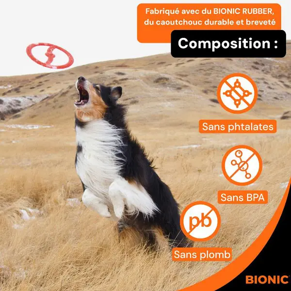 Bionic Jouet Chien Anneau Toss-N-Ring Orange - Ø 23 cm