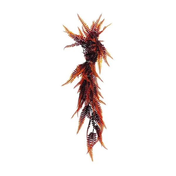 Liane artificielle Fougere Orange 60 cm Repto