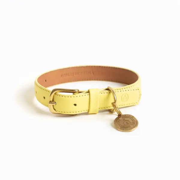 Mellow Collar