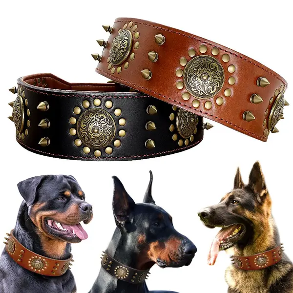Collier en cuir renforcé & décoré spécial grand chien