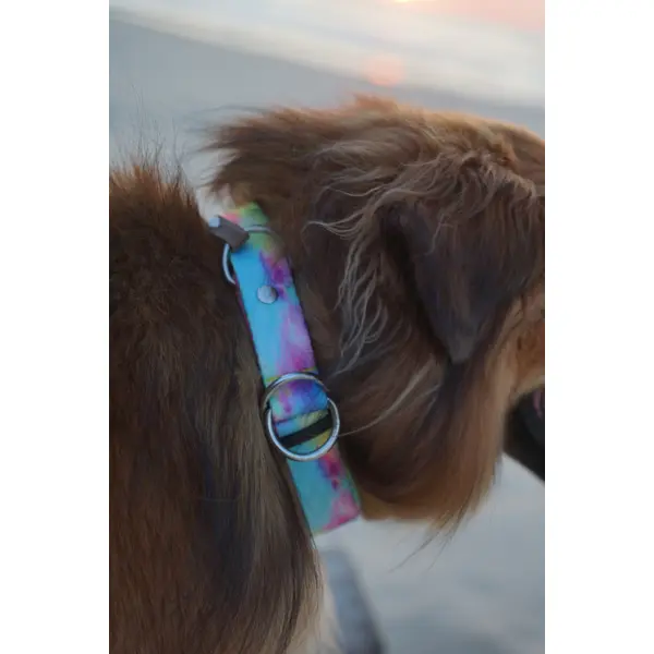Collier pour chien en sangle imprimée - Motif Multicolore