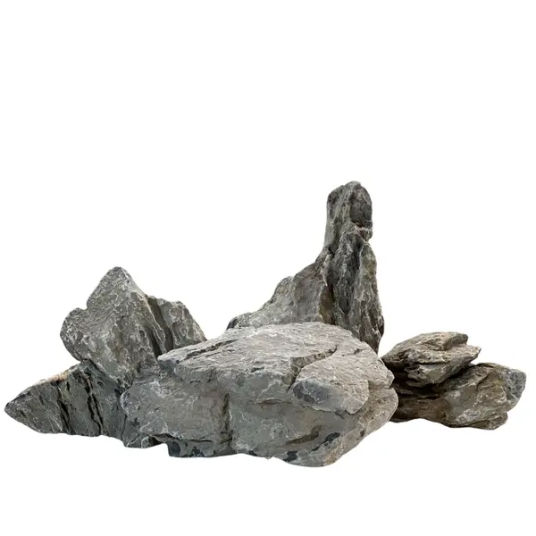 Seiryu Stone – Pièce