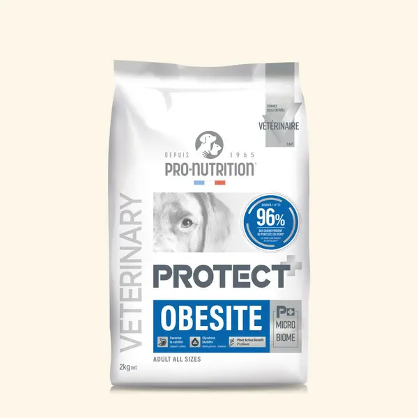 Obésité - Croquettes chien en surpoids ou obèse