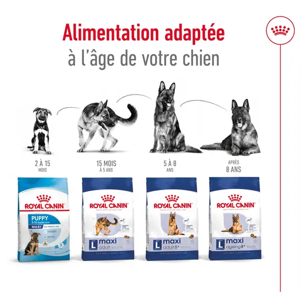 Royal Canin Croquettes Chien Maxi Adult À Partir De 15 Mois - 12 kg