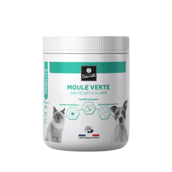 Moule verte – santé articulaire