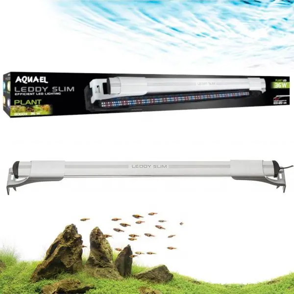 Éclairage LED Leddy Slim Plant AQUAEL - Blanc 36W