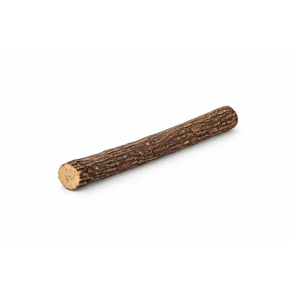 Bâton de matatabi pour chat – Jouet naturel stimulant