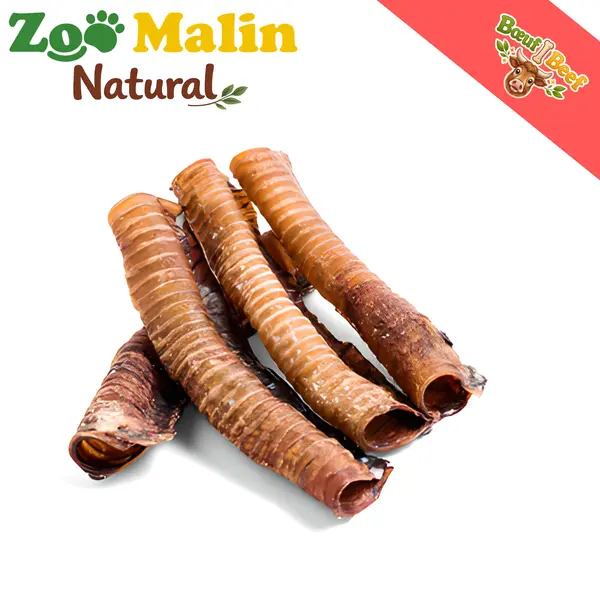 ZOOMALIN Trachée de Bœuf 8cm