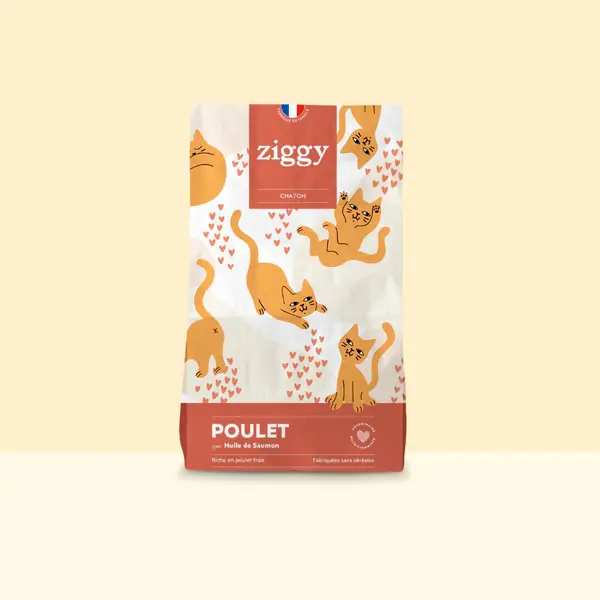 Ziggy poulet - croquettes chaton