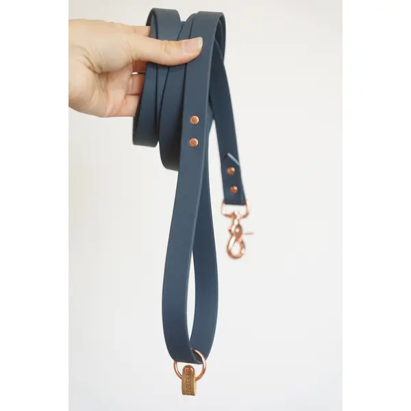 Laisse personnalisable pour chien en sangle TPU