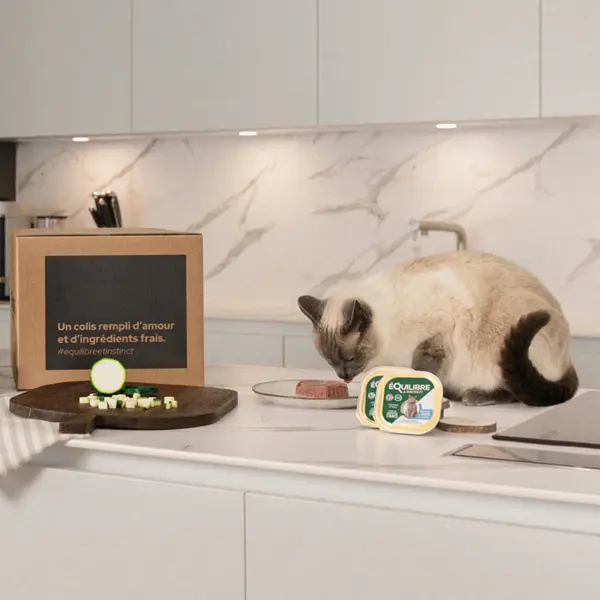 Boîtes Chat - Équilibre & Instinct Terrine chat stérilisé Saumon - 85 gr