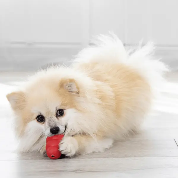 Jouet Chien – KONG® Classic Rouge – Taille XXL