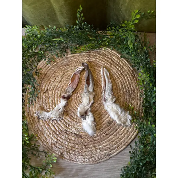 Oreille de lapin avec poils