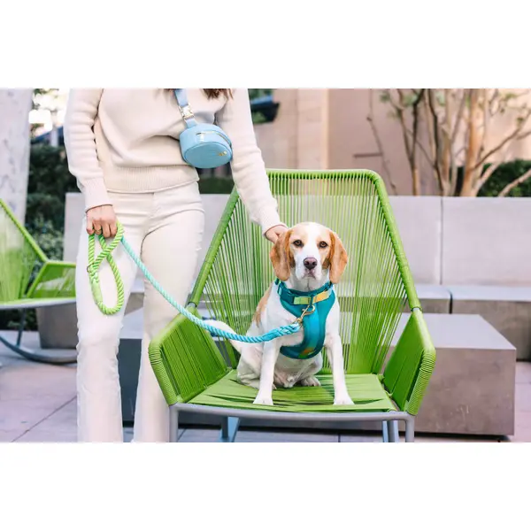 Joey Dog Harness
