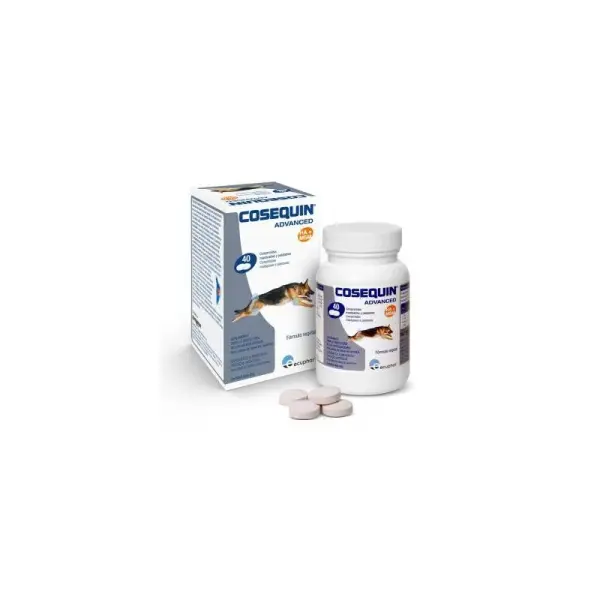 Nutramax Cosequin HA 40 cp