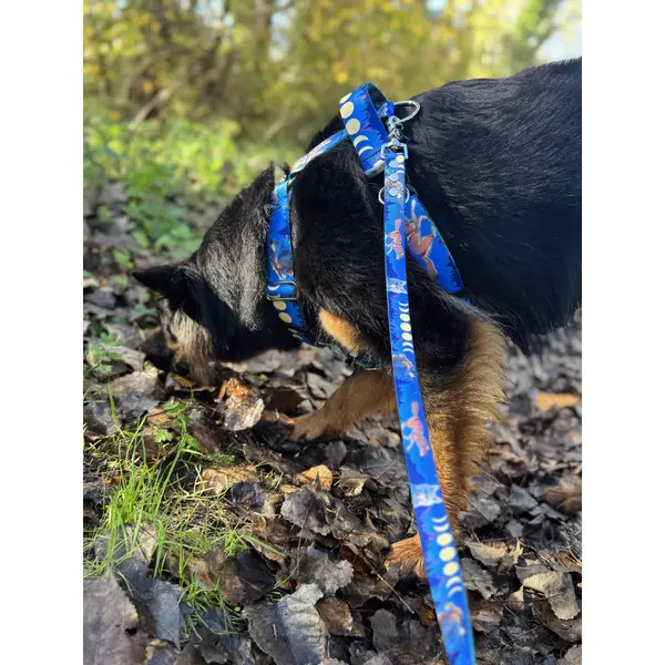 Laisse pour chien en sangle imprimée - Loups - Bleu ou vert