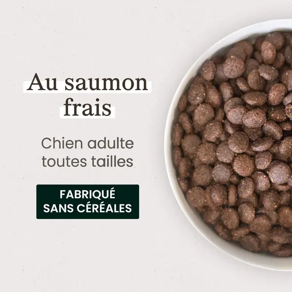Croquettes sans céréales au saumon frais pour chien adulte de petite taille (10kg)