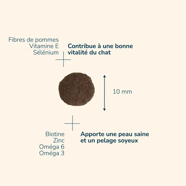 Adult - Saveur Dinde | Offre Spéciale 10 + 2 kg Offerts
